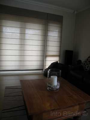 Translucent Roman Blinds Online